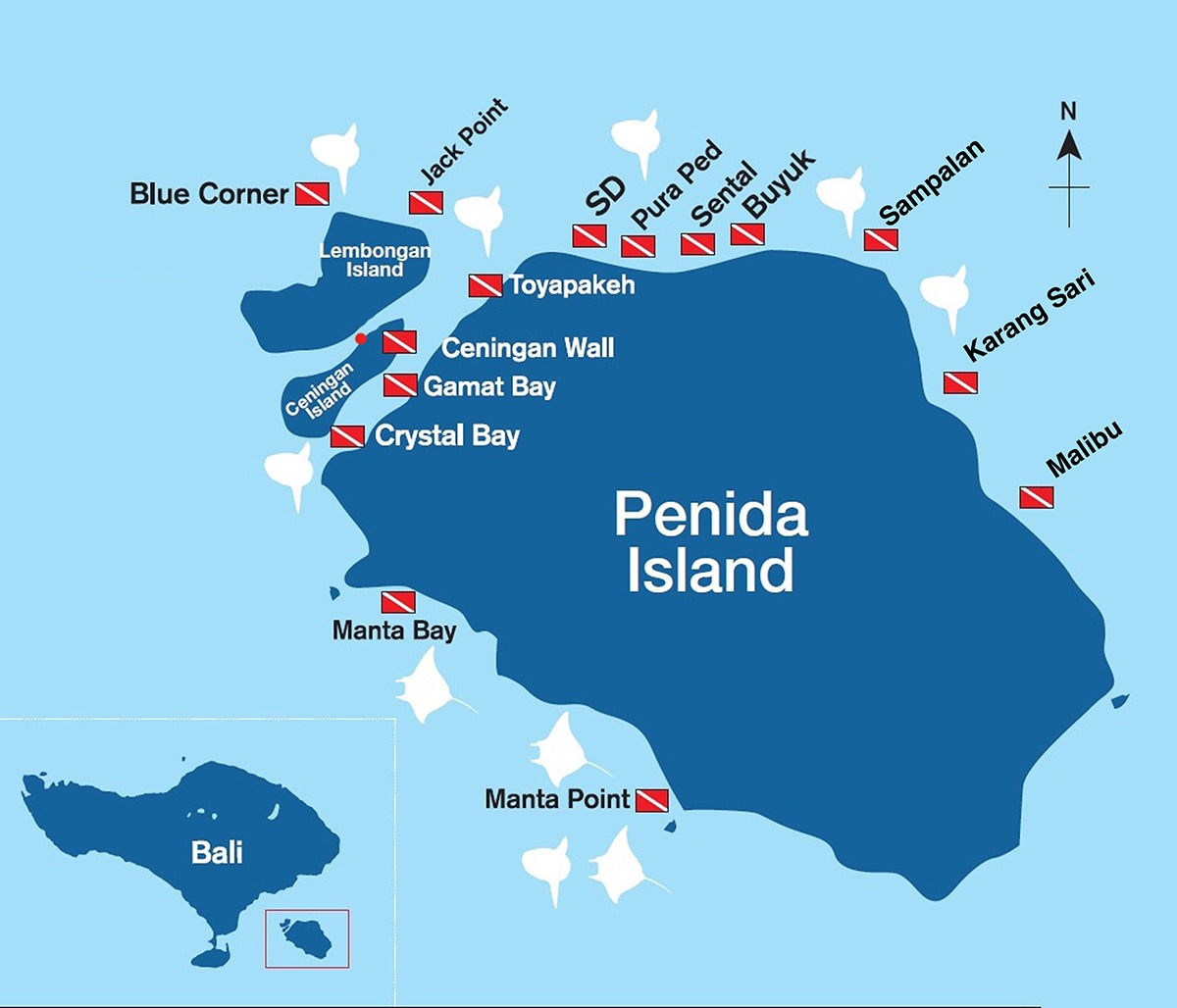  Nusa  Penida  Diving Tour Package The Best Private Tour 2022