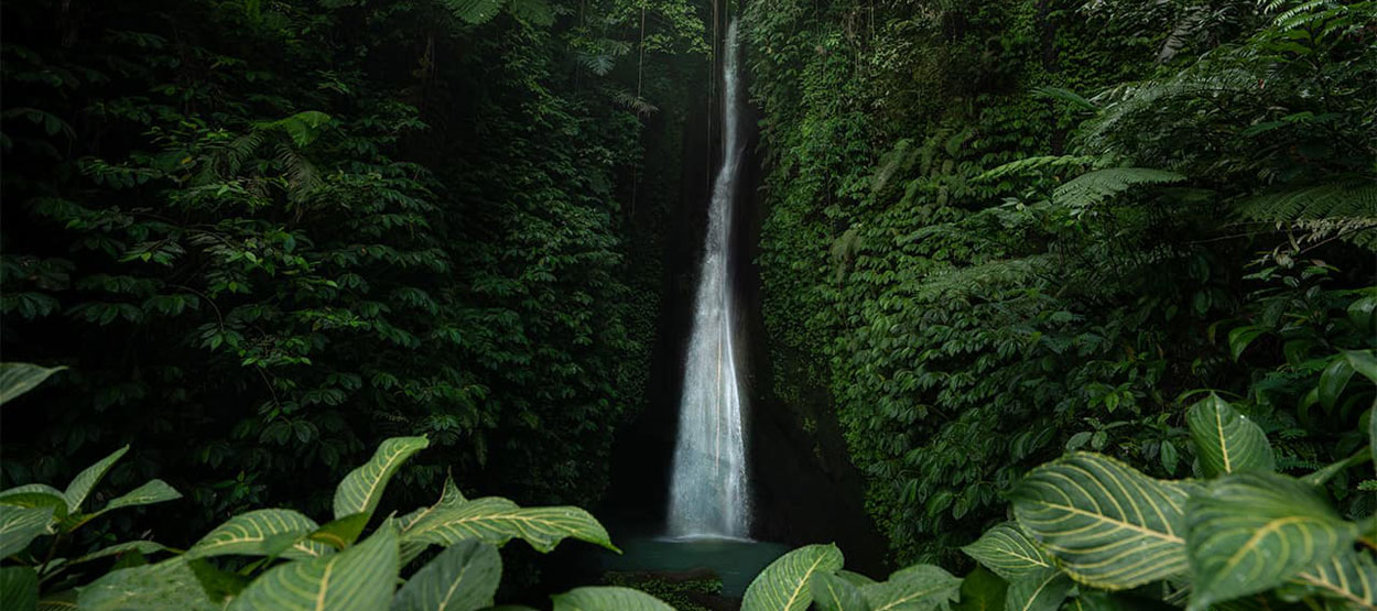 Read more about the article 6 Amazing Waterfall, you need to visit while take vacation in Bali