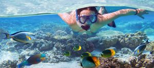 Read more about the article Snorkeling Tips for Beginners: A Comprehensive Guide