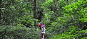 Read more about the article Bali Jungle Trekking Tour